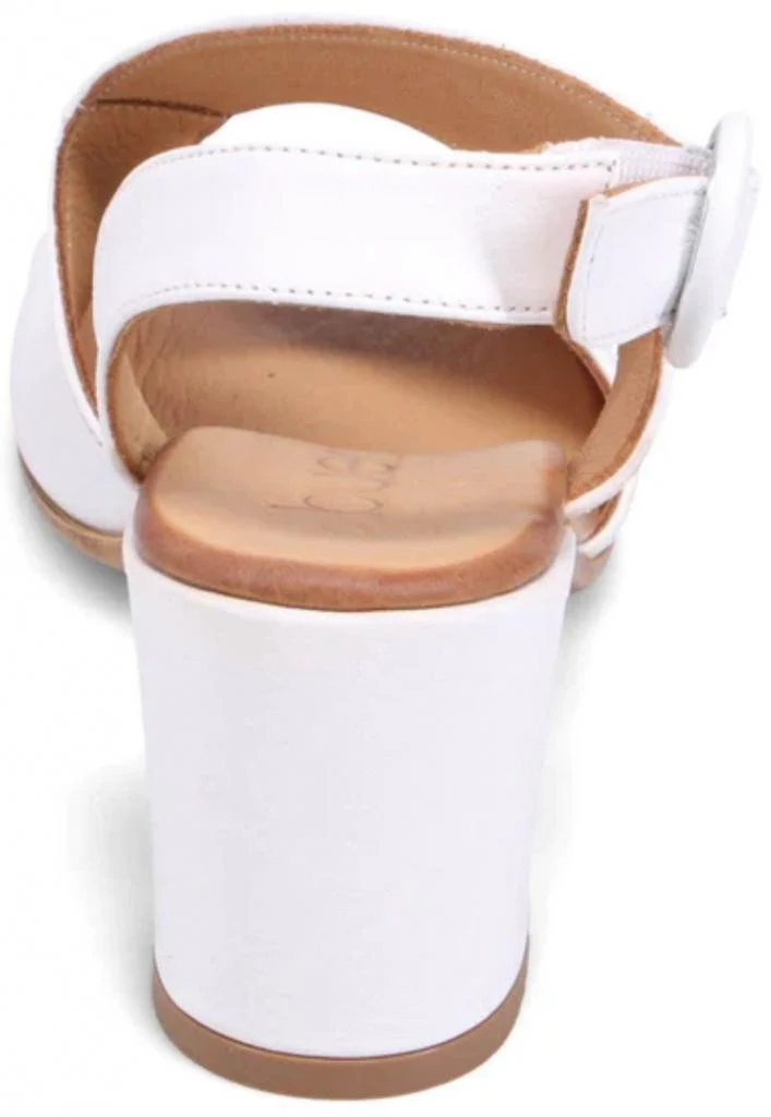 Image du produit 13